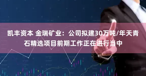 凯丰资本 金瑞矿业：公司拟建30万吨/年天青石精选项目前期工作正在进行当中