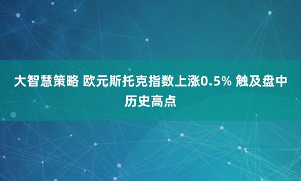 大智慧策略 欧元斯托克指数上涨0.5% 触及盘中历史高点